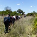 BWA NW OkavangoDelta 2016DEC02 Mokoro 021 : 2016, 2016 - African Adventures, Africa, Botswana, Date, December, Mokoro Base Camp, Month, Northwest, Okavango Delta, Places, Southern, Trips, Year